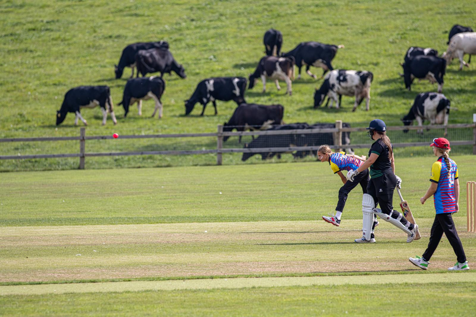 Under 15 Super 8s Final | Plymouth CC vs Exeter CC