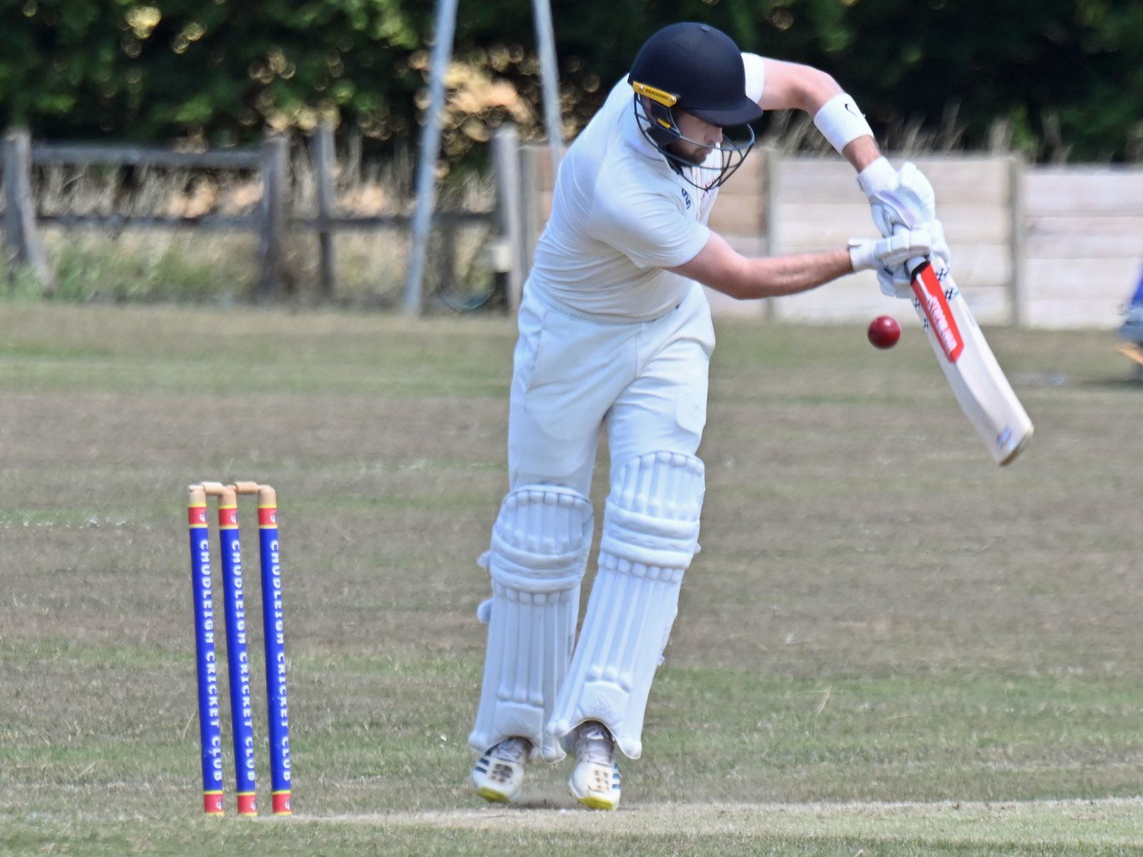 Chudleigh captain Will Heather moving towards a century against Brixham | Steve Pope/MDA
